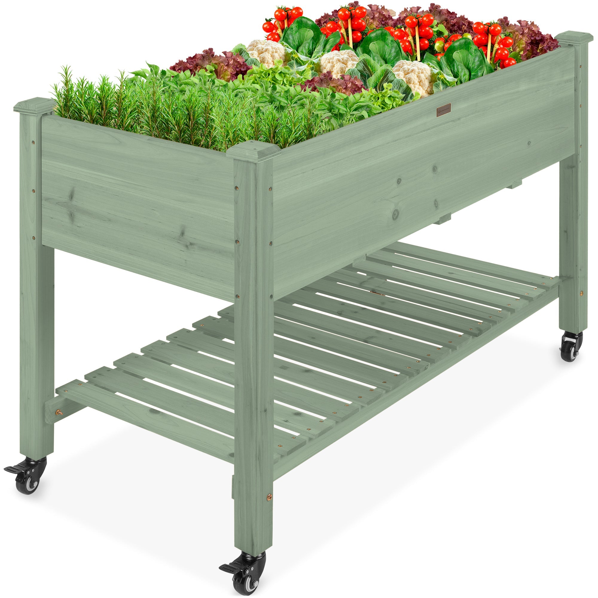 Mobile Raised Garden Bed Elevated Planter w/ Wheels, Shelf - 48x24x32in
