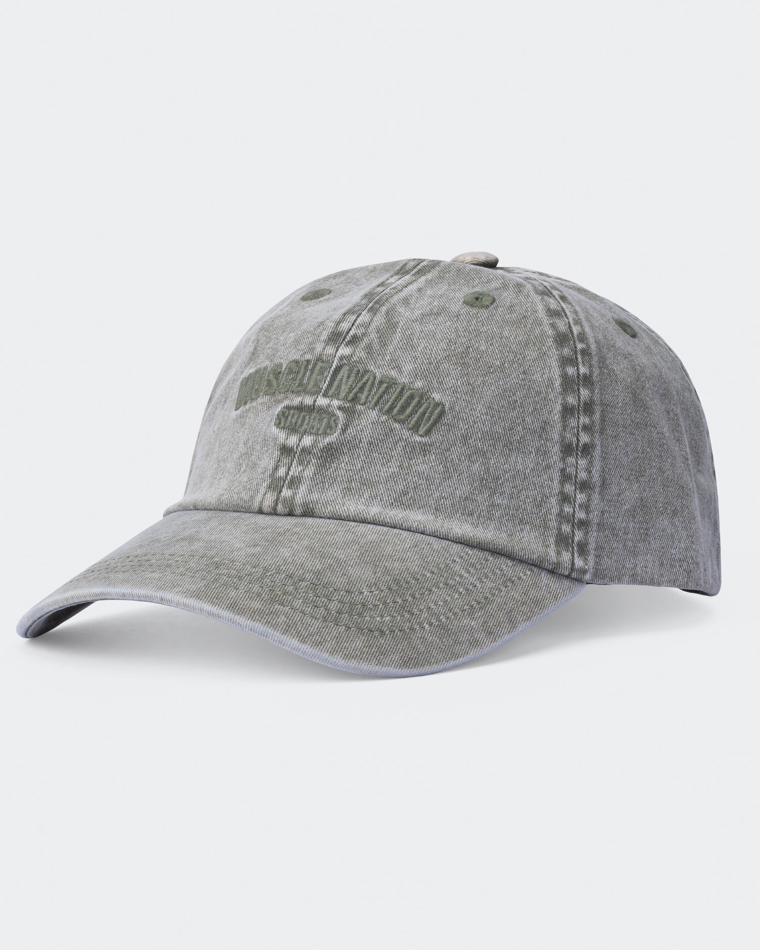 Distressed Dad Cap
